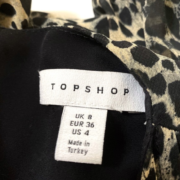 🌸Hosts Pick🌸 Topshop Animal Print Dress - Picture 5 of 8